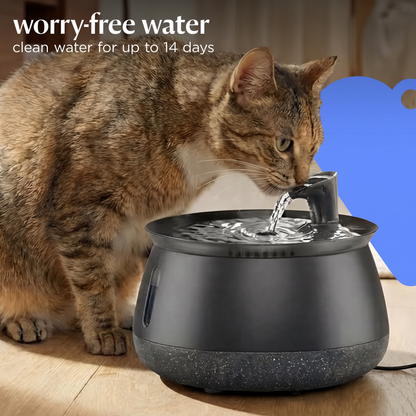 Cat Water Fountain