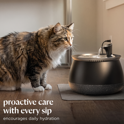 Cat Water Fountain